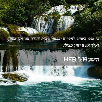 Picture 02 - הושע 5:14 HEB - כי אנכי כשחל לאפרים וככפיר - Bible Verse Picture