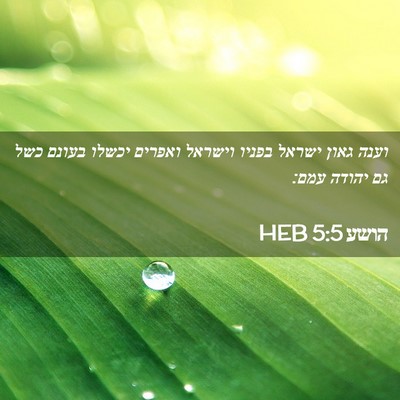 Picture 02 - הושע 5:5 HEB - וענה גאון ישראל בפניו - Bible Verse Picture