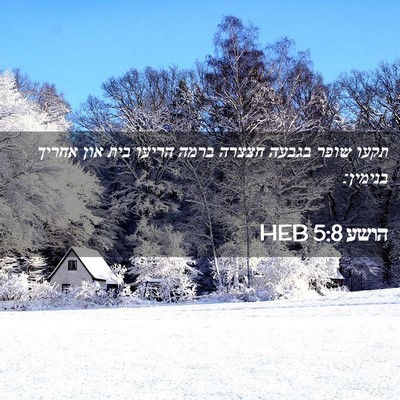 Picture 02 - הושע 5:8 HEB - תקעו שופר בגבעה חצצרה ברמה - Bible Verse Picture