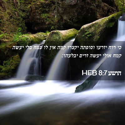 Picture 02 - הושע 8:7 HEB - כי רוח יזרעו וסופתה יקצרו - Bible Verse Picture