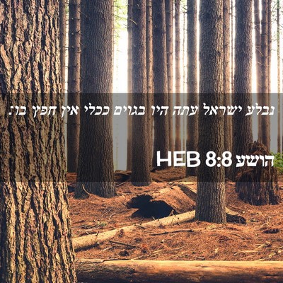 Picture 02 - הושע 8:8 HEB - נבלע ישראל עתה היו בגוים - Bible Verse Picture
