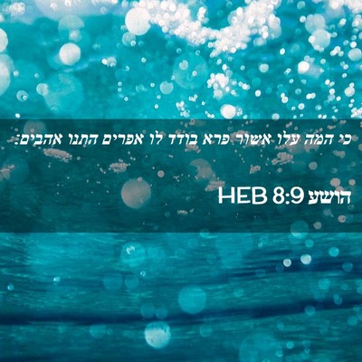 Picture 02 - הושע 8:9 HEB - כי המה עלו אשור פרא בודד לו - Bible Verse Picture