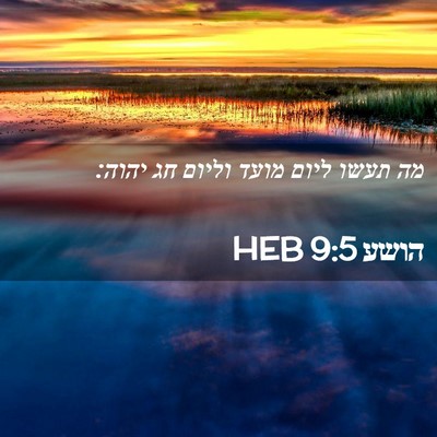 Picture 02 - הושע 9:5 HEB - מה תעשו ליום מועד וליום חג - Bible Verse Picture