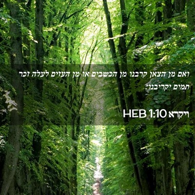 Picture 02 - ויקרא 1:10 HEB - ואם מן הצאן קרבנו מן הכשבים - Bible Verse Picture