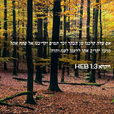 Picture 02 - ויקרא 1:3 HEB - אם עלה קרבנו מן הבקר זכר - Bible Verse Picture