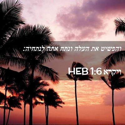 Picture 02 - ויקרא 1:6 HEB - והפשיט את העלה ונתח אתה - Bible Verse Picture