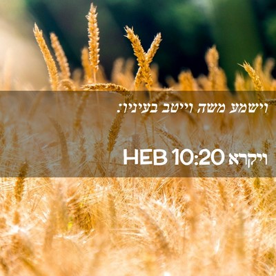 Picture 02 - ויקרא 10:20 HEB - וישמע משה וייטב - Bible Verse Picture