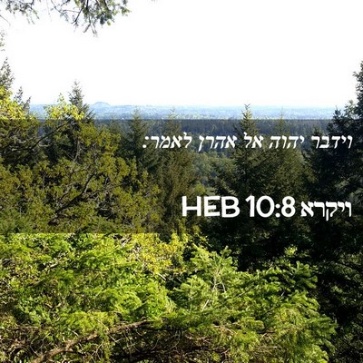 Picture 02 - ויקרא 10:8 HEB - וידבר יהוה אל אהרן - Bible Verse Picture