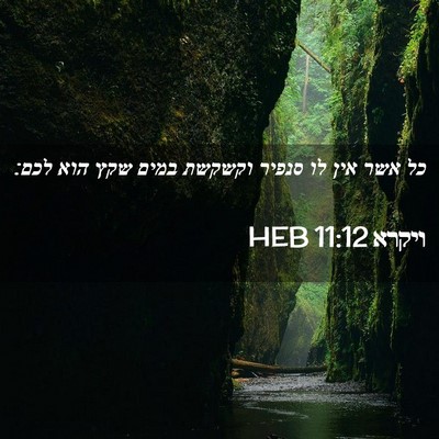 Picture 02 - ויקרא 11:12 HEB - כל אשר אין לו סנפיר וקשקשת - Bible Verse Picture