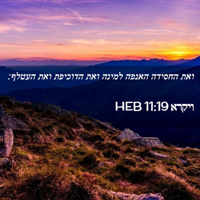 Picture 02 - ויקרא 11:19 HEB - ואת החסידה האנפה למינה ואת - Bible Verse Picture