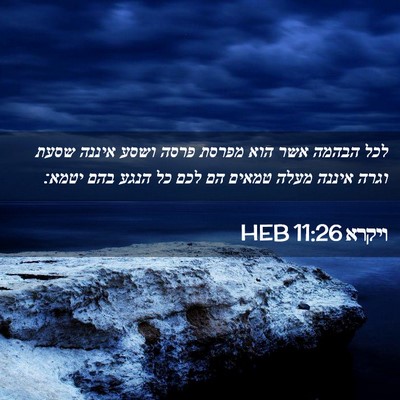 Picture 02 - ויקרא 11:26 HEB - לכל הבהמה אשר הוא מפרסת - Bible Verse Picture