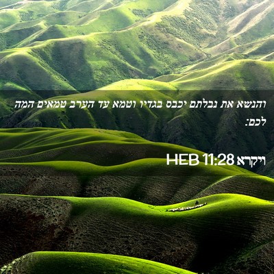 Picture 02 - ויקרא 11:28 HEB - והנשא את נבלתם יכבס בגדיו - Bible Verse Picture