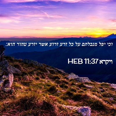 Picture 02 - ויקרא 11:37 HEB - וכי יפל מנבלתם על כל זרע - Bible Verse Picture