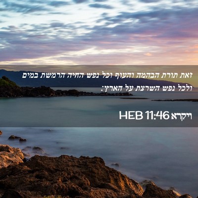Picture 02 - ויקרא 11:46 HEB - זאת תורת הבהמה והעוף וכל - Bible Verse Picture