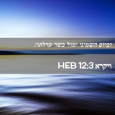 Picture 02 - ויקרא 12:3 HEB - וביום השמיני ימול בשר - Bible Verse Picture