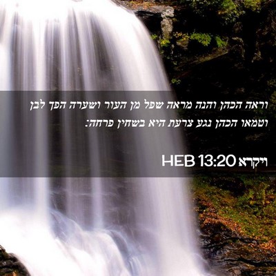 Picture 02 - ויקרא 13:20 HEB - וראה הכהן והנה מראה שפל מן - Bible Verse Picture