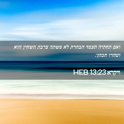 Picture 02 - ויקרא 13:23 HEB - ואם תחתיה תעמד הבהרת לא - Bible Verse Picture