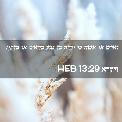 Picture 02 - ויקרא 13:29 HEB - ואיש או אשה כי יהיה בו נגע - Bible Verse Picture