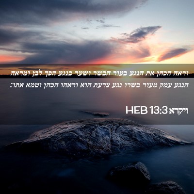 Picture 02 - ויקרא 13:3 HEB - וראה הכהן את הנגע בעור הבשר - Bible Verse Picture