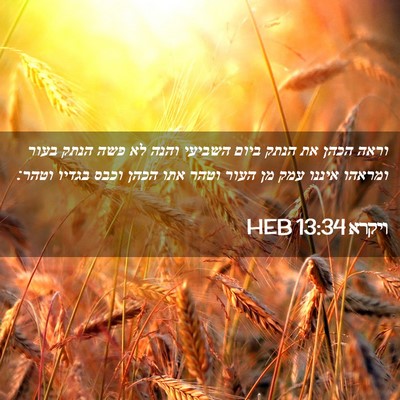 Picture 02 - ויקרא 13:34 HEB - וראה הכהן את הנתק ביום - Bible Verse Picture