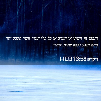 Picture 02 - ויקרא 13:58 HEB - והבגד או השתי או הערב או כל - Bible Verse Picture