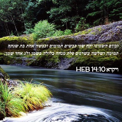 Picture 02 - ויקרא 14:10 HEB - וביום השמיני יקח שני כבשים - Bible Verse Picture