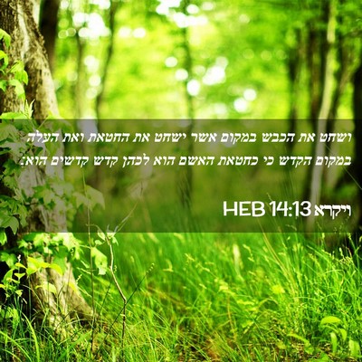 Picture 02 - ויקרא 14:13 HEB - ושחט את הכבש במקום אשר ישחט - Bible Verse Picture