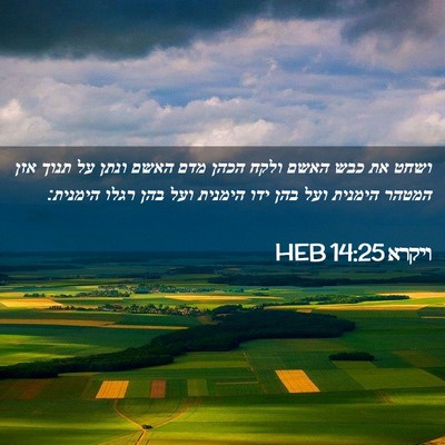 Picture 02 - ויקרא 14:25 HEB - ושחט את כבש האשם ולקח הכהן - Bible Verse Picture