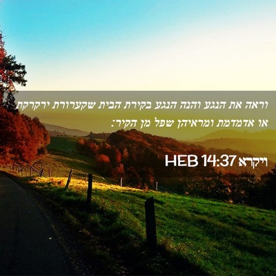 Picture 02 - ויקרא 14:37 HEB - וראה את הנגע והנה הנגע - Bible Verse Picture