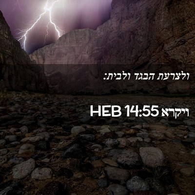 Picture 02 - ויקרא 14:55 HEB - ולצרעת הבגד - Bible Verse Picture