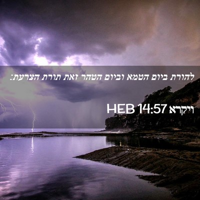 Picture 02 - ויקרא 14:57 HEB - להורת ביום הטמא וביום הטהר - Bible Verse Picture