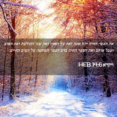 Picture 02 - ויקרא 14:6 HEB - את הצפר החיה יקח אתה ואת עץ - Bible Verse Picture