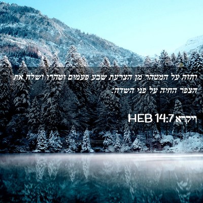 Picture 02 - ויקרא 14:7 HEB - והזה על המטהר מן הצרעת שבע - Bible Verse Picture