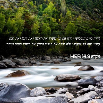 Picture 02 - ויקרא 14:9 HEB - והיה ביום השביעי יגלח את כל - Bible Verse Picture