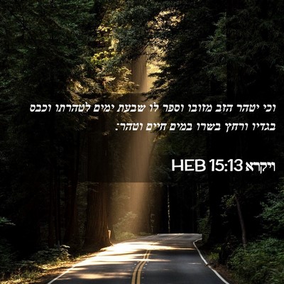 Picture 02 - ויקרא 15:13 HEB - וכי יטהר הזב מזובו וספר לו - Bible Verse Picture