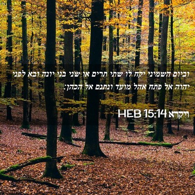 Picture 02 - ויקרא 15:14 HEB - וביום השמיני יקח לו שתי - Bible Verse Picture