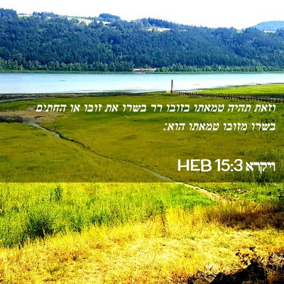 Picture 02 - ויקרא 15:3 HEB - וזאת תהיה טמאתו בזובו רר - Bible Verse Picture