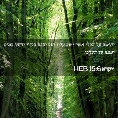 Picture 02 - ויקרא 15:6 HEB - והישב על הכלי אשר ישב עליו - Bible Verse Picture