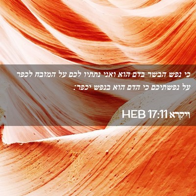 Picture 02 - ויקרא 17:11 HEB - כי נפש הבשר בדם הוא ואני - Bible Verse Picture