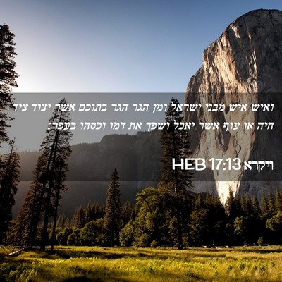Picture 02 - ויקרא 17:13 HEB - ואיש איש מבני ישראל ומן הגר - Bible Verse Picture