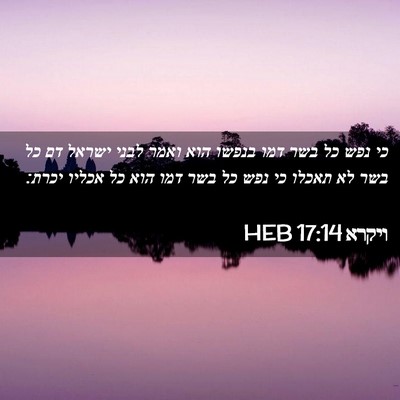 Picture 02 - ויקרא 17:14 HEB - כי נפש כל בשר דמו בנפשו הוא - Bible Verse Picture