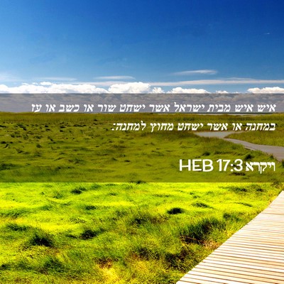 Picture 02 - ויקרא 17:3 HEB - איש איש מבית ישראל אשר ישחט - Bible Verse Picture