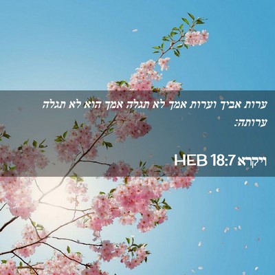 Picture 02 - ויקרא 18:7 HEB - ערות אביך וערות אמך לא תגלה - Bible Verse Picture