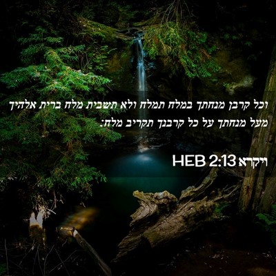 Picture 02 - ויקרא 2:13 HEB - וכל קרבן מנחתך במלח תמלח - Bible Verse Picture