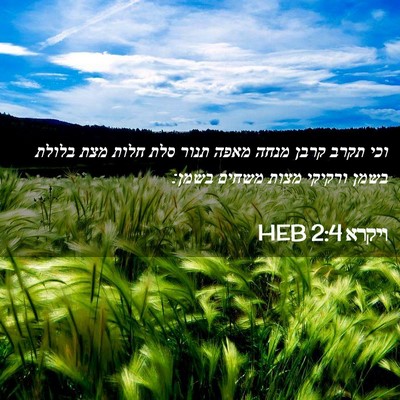 Picture 02 - ויקרא 2:4 HEB - וכי תקרב קרבן מנחה מאפה - Bible Verse Picture