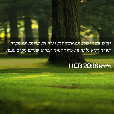 Picture 02 - ויקרא 20:18 HEB - ואיש אשר ישכב את אשה דוה - Bible Verse Picture