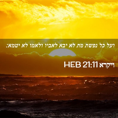 Picture 02 - ויקרא 21:11 HEB - ועל כל נפשת מת לא יבא לאביו - Bible Verse Picture