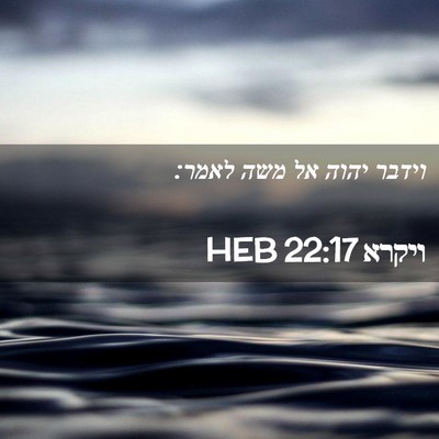 Picture 02 - ויקרא 22:17 HEB - וידבר יהוה אל משה - Bible Verse Picture