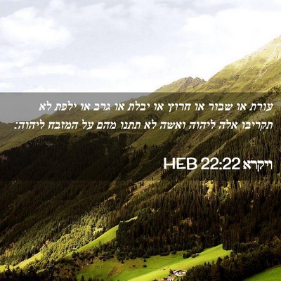 Picture 02 - ויקרא 22:22 HEB - עורת או שבור או חרוץ או - Bible Verse Picture
