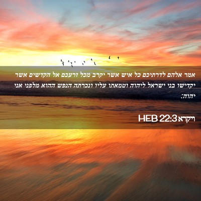 Picture 02 - ויקרא 22:3 HEB - אמר אלהם לדרתיכם כל איש אשר - Bible Verse Picture